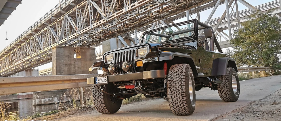 Jeep Wrangler cena 159900 przebieg: 130000, rok produkcji 1991 z Dobra małe 211